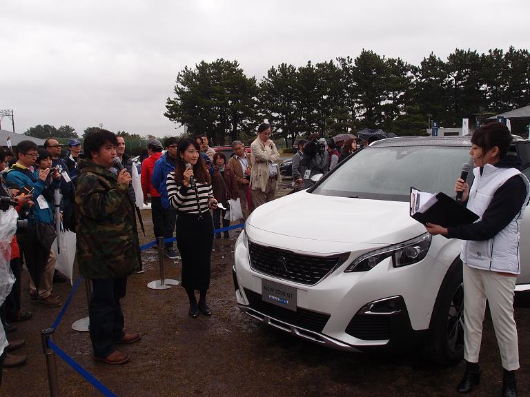 Peugeot Meeting16-22.JPG